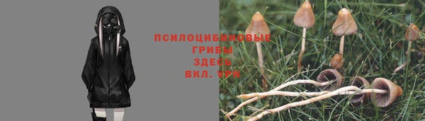 СК Алексеевка