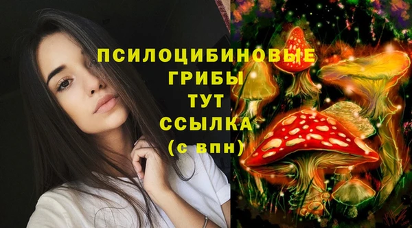гидра Алексин