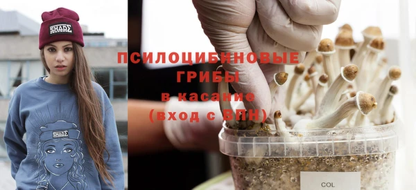 не бодяженный Арсеньев