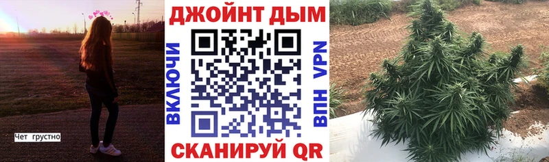 купить наркотик  Сарапул  Конопля Bruce Banner 
